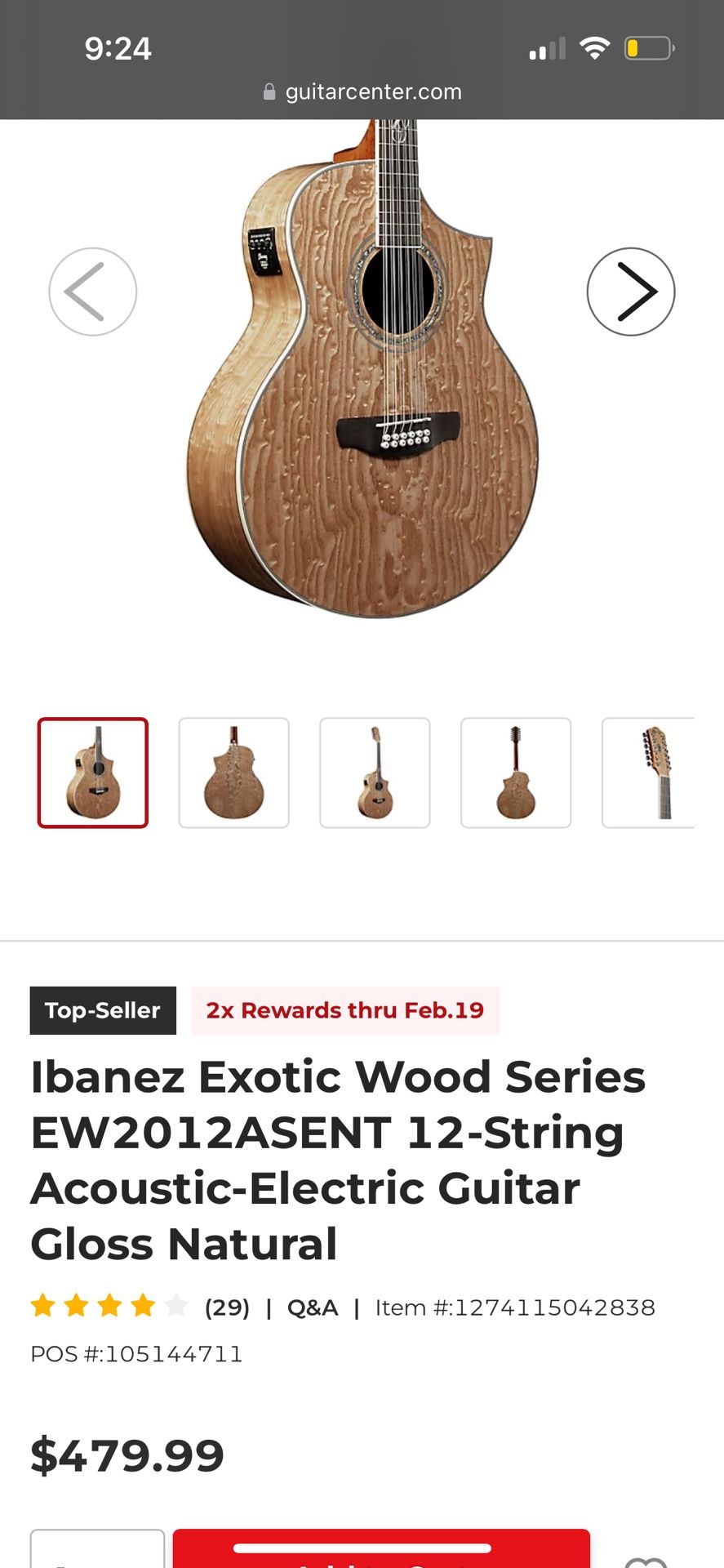 Ibanez Exotic Wood Series 12 String Guitar