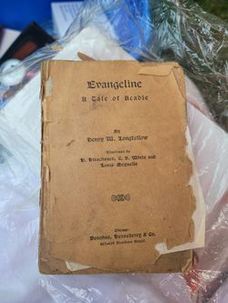 Evangeline A Tale of Acadie by Longfellow