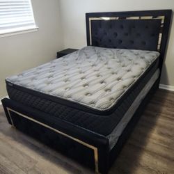 Gold Accent - Black And Gold- Other Colors Available - Queen - King - Full - Twin - SAME DAY DELIVERY 