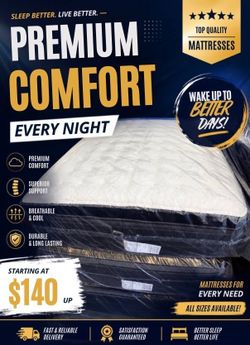 Full Size Pillow Top plush Set
