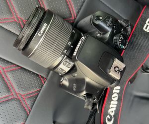 Cano rebel xs
