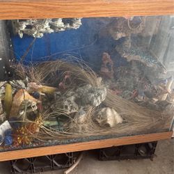 65. gallon wet, dry aquarium with furniture and filter