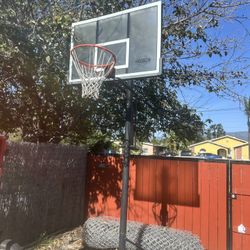 Basketball Hoop 