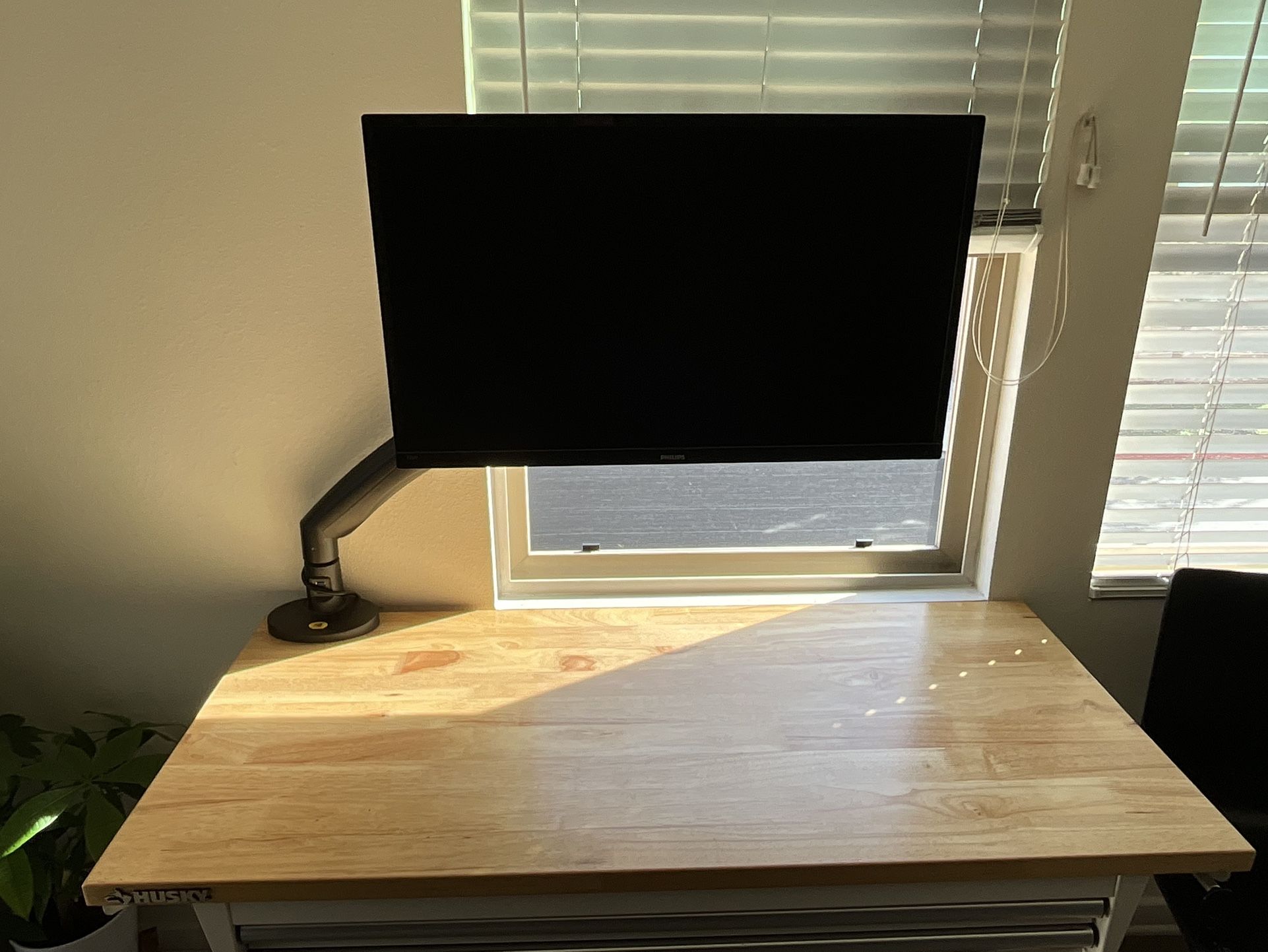 Monitor With Arm 