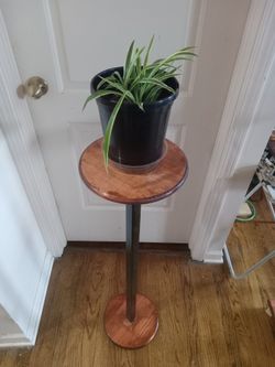 Hand made Plant stand with baby spider plant