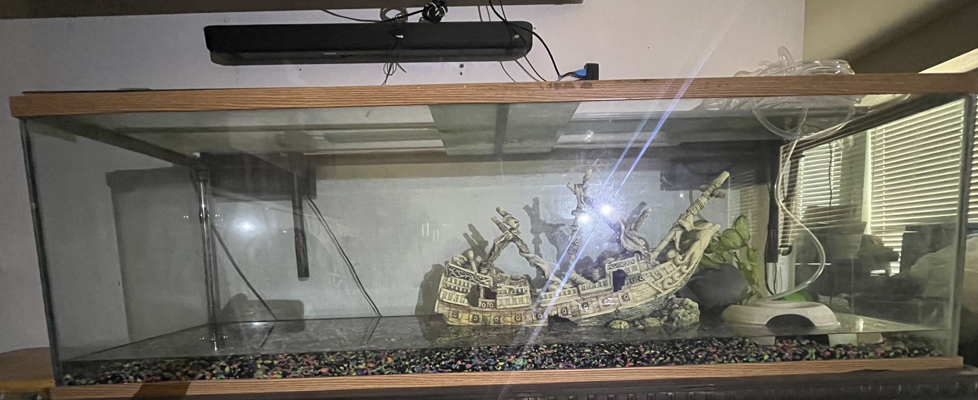 Fish Tank