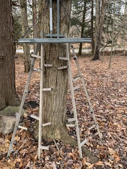 Tree Stand 