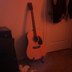 Acoustic Eleca Guitar