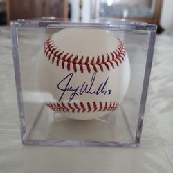 NEW Major League Signed Baseball Joey Wendle 