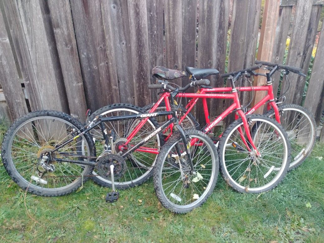 3 bicycles free