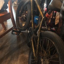    Volume Bermuda 20 Inch Bmx