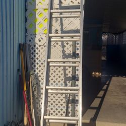 LADDERS