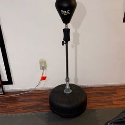 Everlast speed Bag