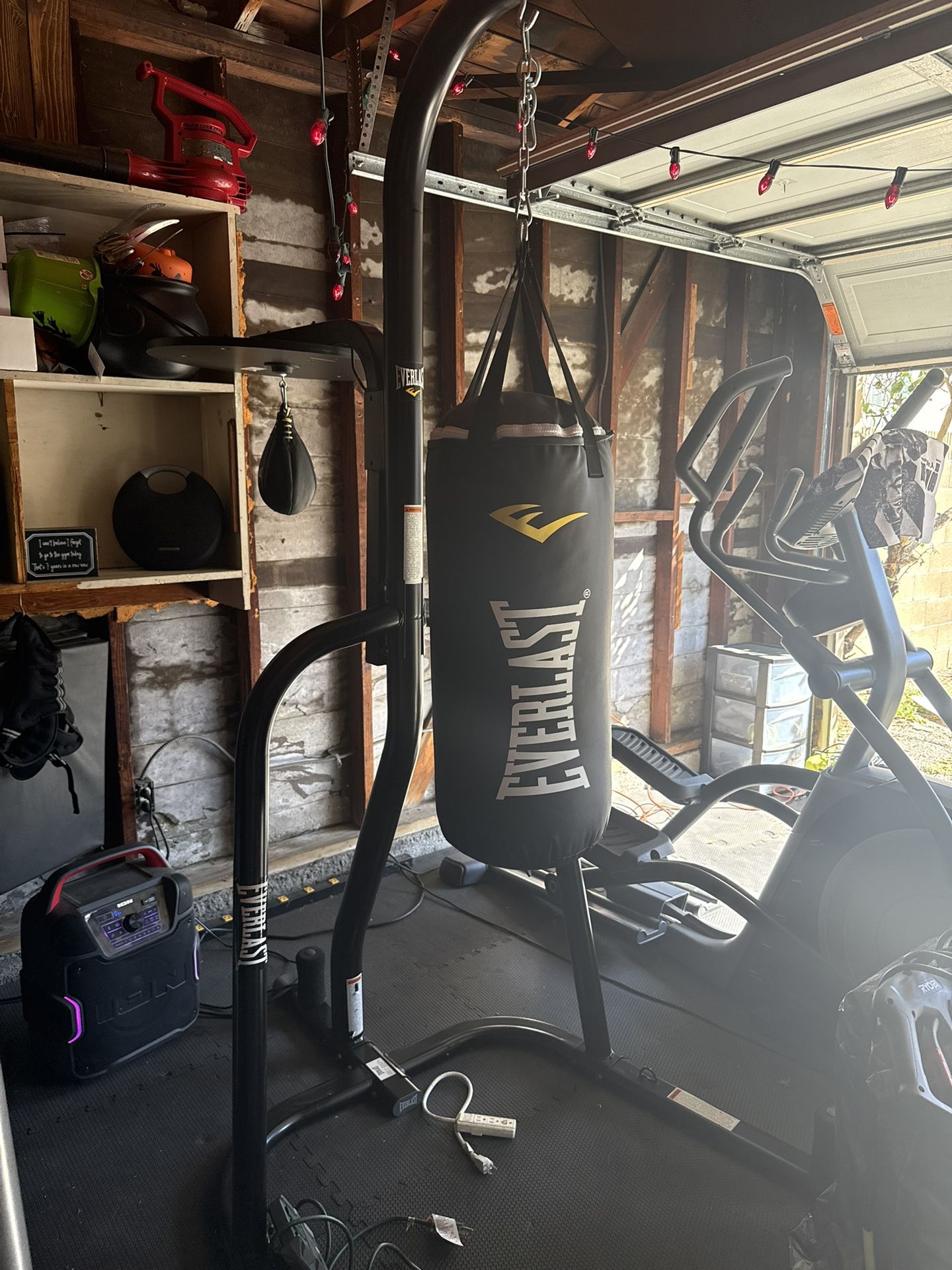 Everlast Punching Bag