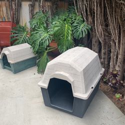 House for the dog