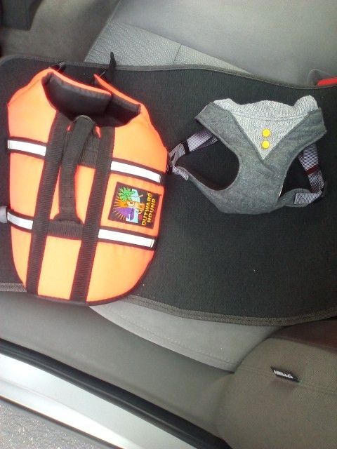 Life Jacket Harness/ Button Sweater Harness