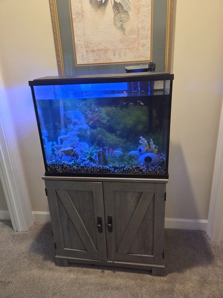 Fish Aquarium  37 Gallon