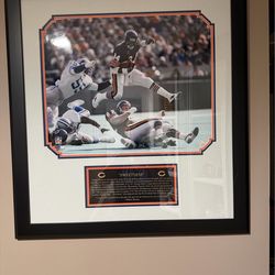 Chicago Bears- Sweetness