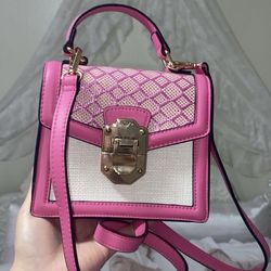 Mini Aldo Purse / Crossbody Handbag 