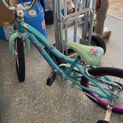 Girls 20” Deelite  Bike With Training Wheels 