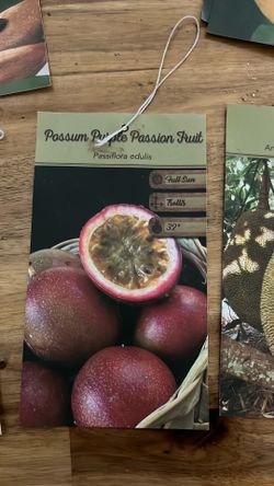 Passionfruit ￼