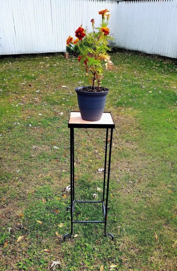 Tall Plant Stand