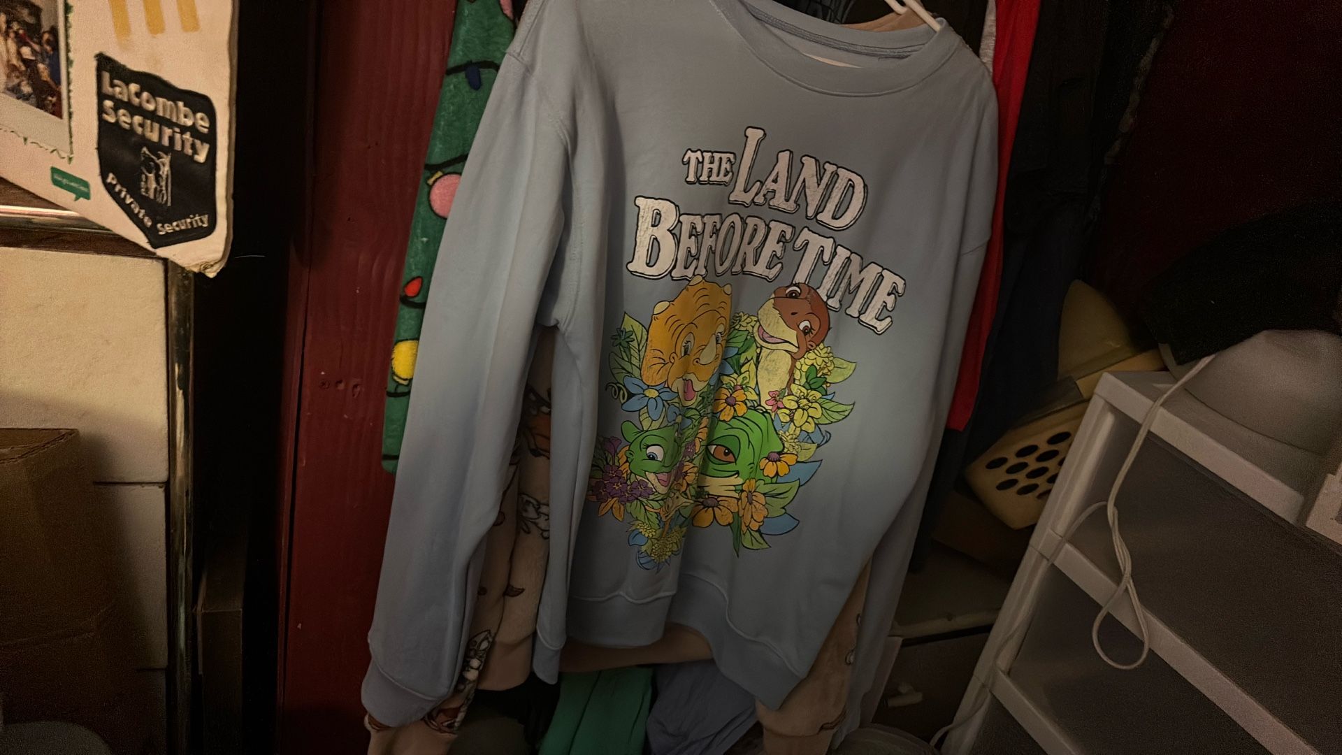 Land Before Time Sweatshirt Size Medium