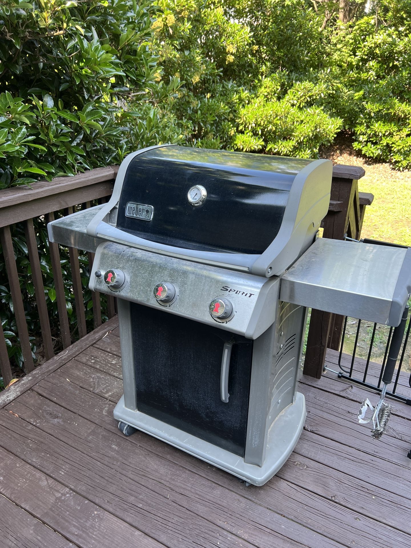 Webber Spirit Grill (New Flavorizers)