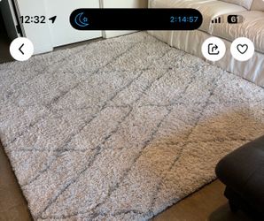 Grey white rug 8x10
