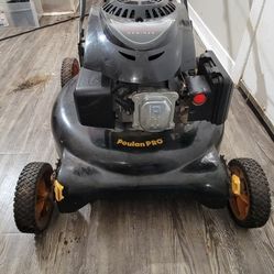 Poulan Pro