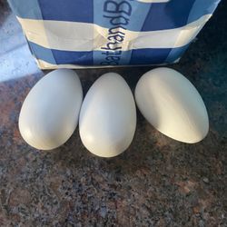 Decorative Wooden Eggs 