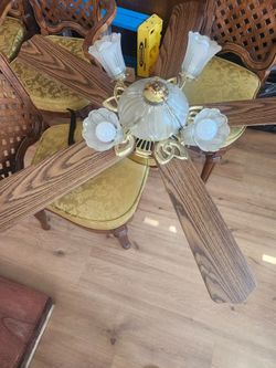 Hampton Bay Hanging lights with fan