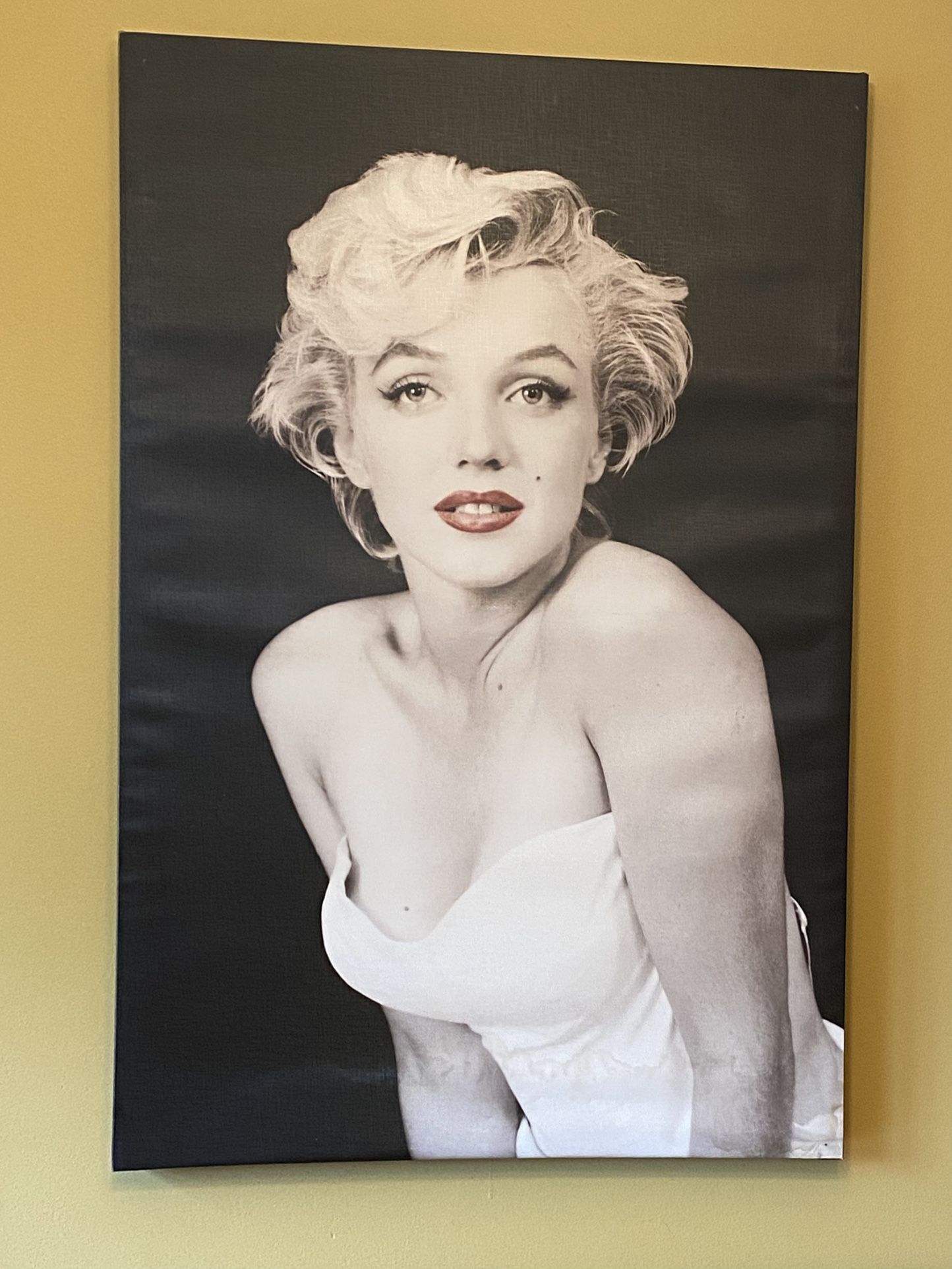 Large Marilyn Monroe Canvas 24”Lx 36” H ,had a light water stain on bottom right side , otherwise in good condition/see both pictures posted/