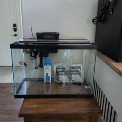 20 Gallon Fish Tank