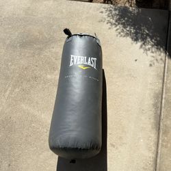 Punching Bag 