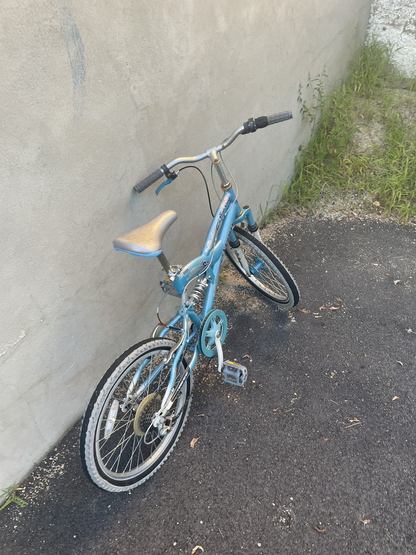 Girls Bicycle 