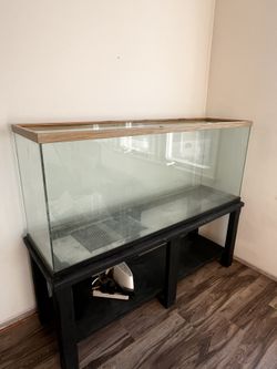 Tank