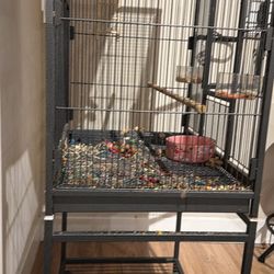 Bird Cages