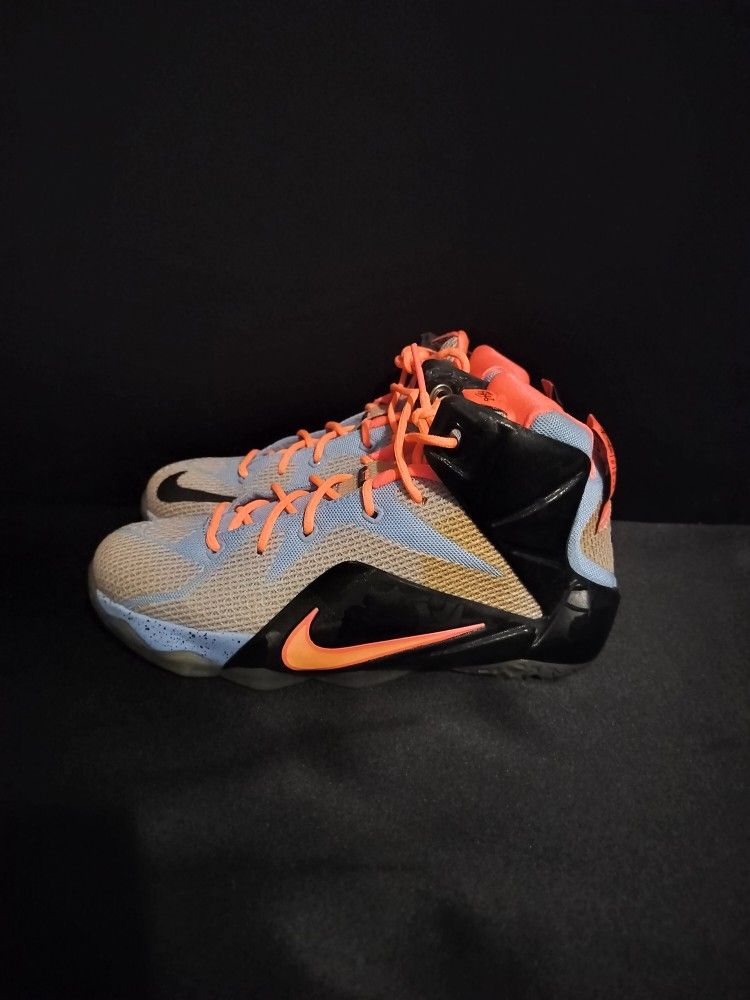 Kids Lebron XII Easter GS Aluminum Sunset Glow Black (Size 5Y)