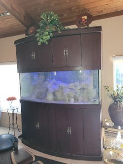 250 Gallon Bow Front Salt Water Aquarium Fish Tank Spent $35k Custom Built Message For Dimensions