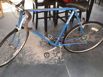 Schwinn Traveler ( Butted Frame Tubes) 29” Extra Largue