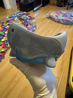 Shark Bowl