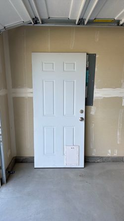 Door with doggy door