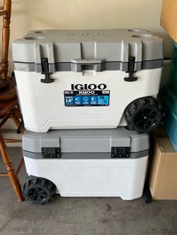 Igloo coolers