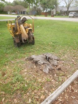 Stump Grinding 