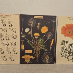 Set of 3 Prints On Board