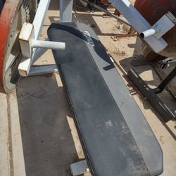 Bench Press 