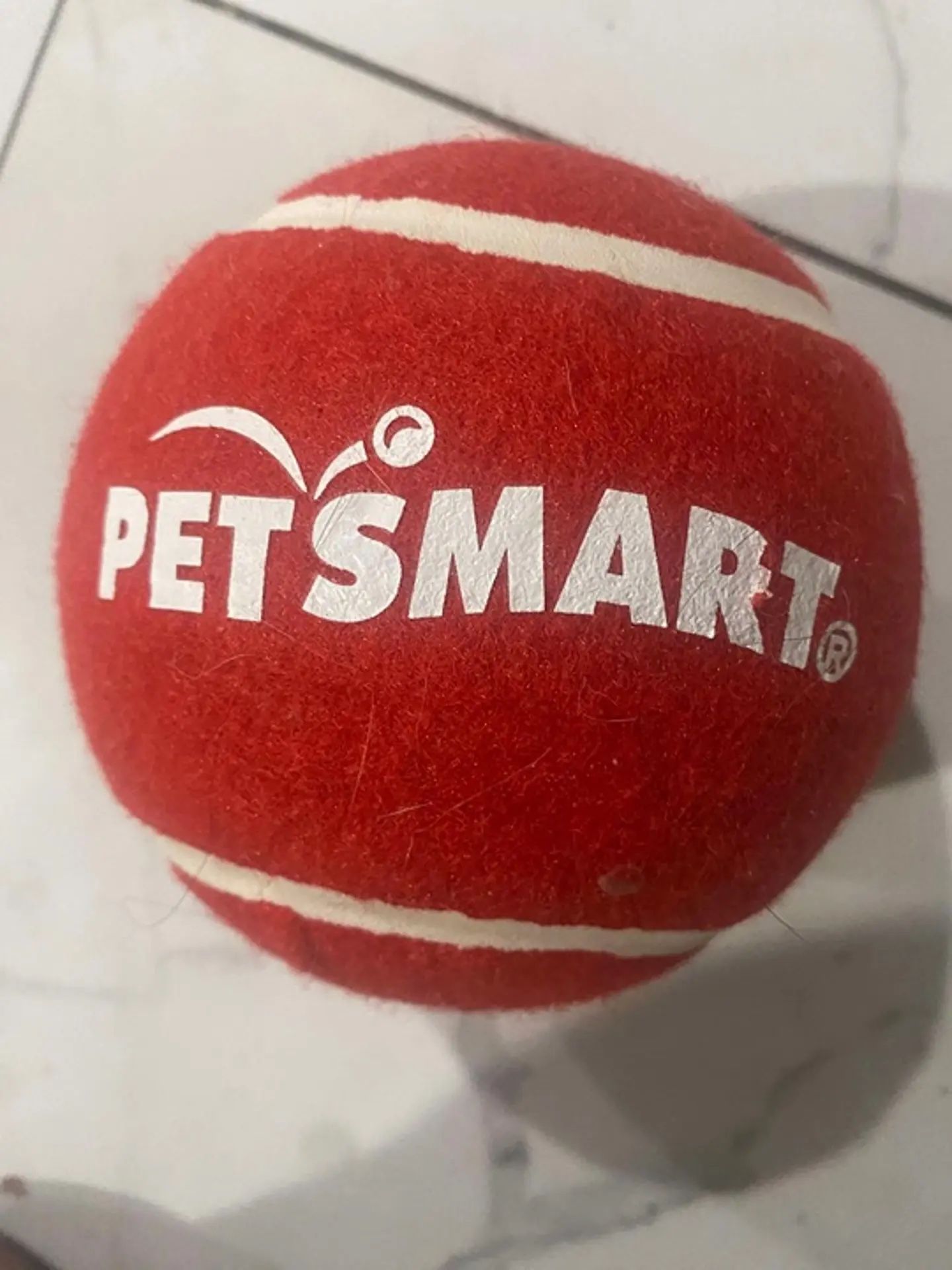 9.5" Big Petsmart Red Tennis Ball for Dogs