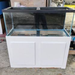Fish Tank  75  G