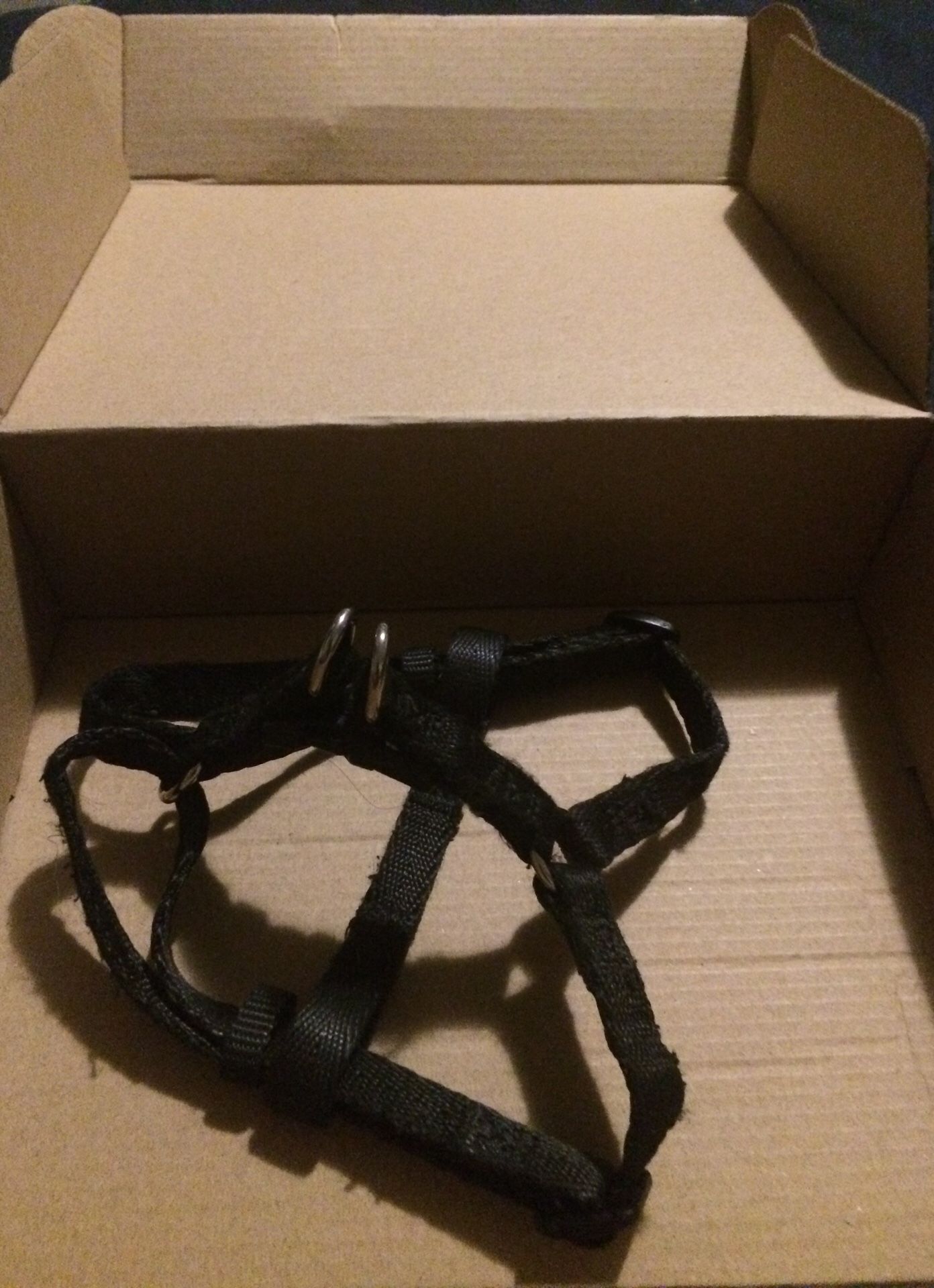 Generic Pet Harness